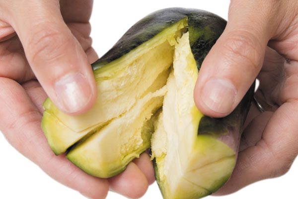 生食