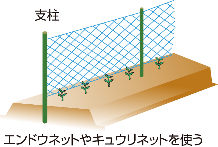 支柱立て3
