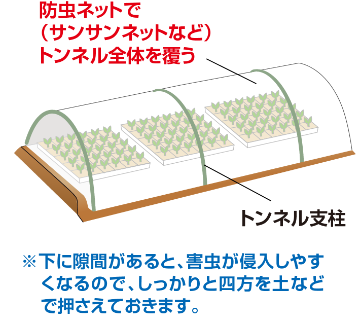防虫ネット