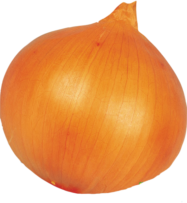 ラムダ単品.png