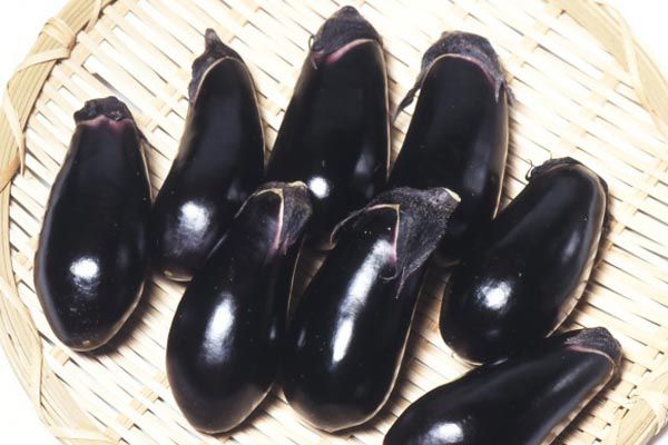 osusumeN_hinsyu_ごちそう.jpg