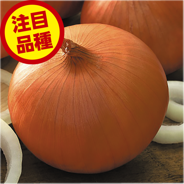 ケル玉単品2.png