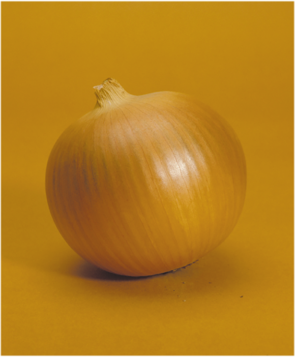 パワー単品.png