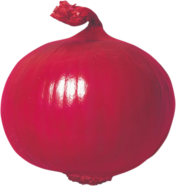 赤玉ねぎ.png