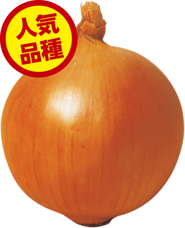 吊り玉単品2.png