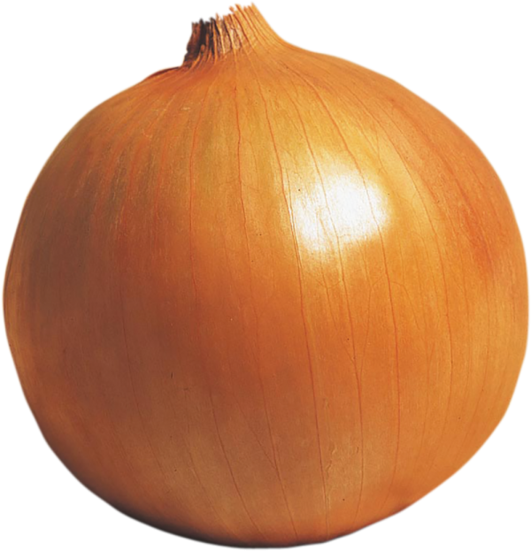 ネオアース単品.png