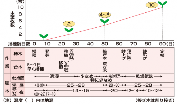 育苗管理