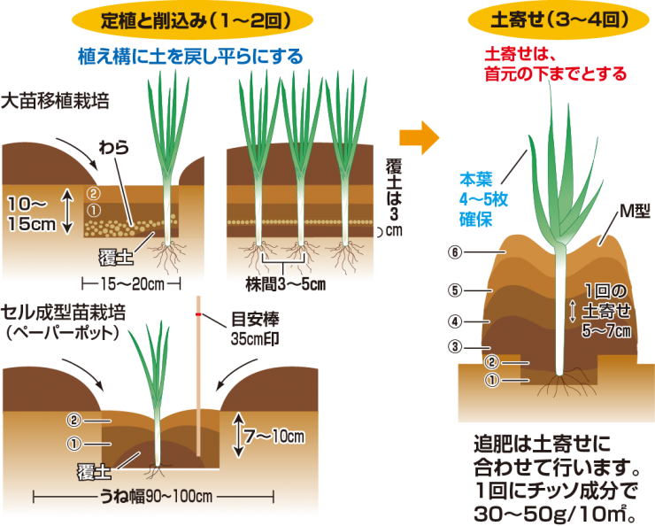 土寄せ