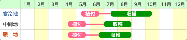 スケジュール