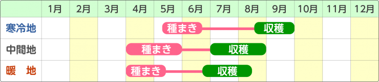 育成スケジュール