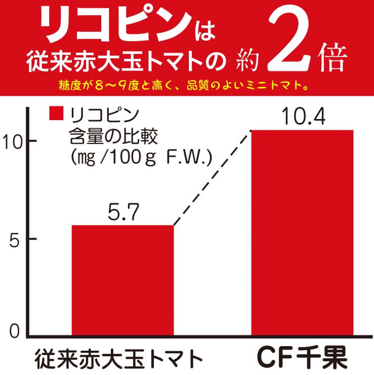 グラフ